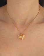 Collar Golden Retriever