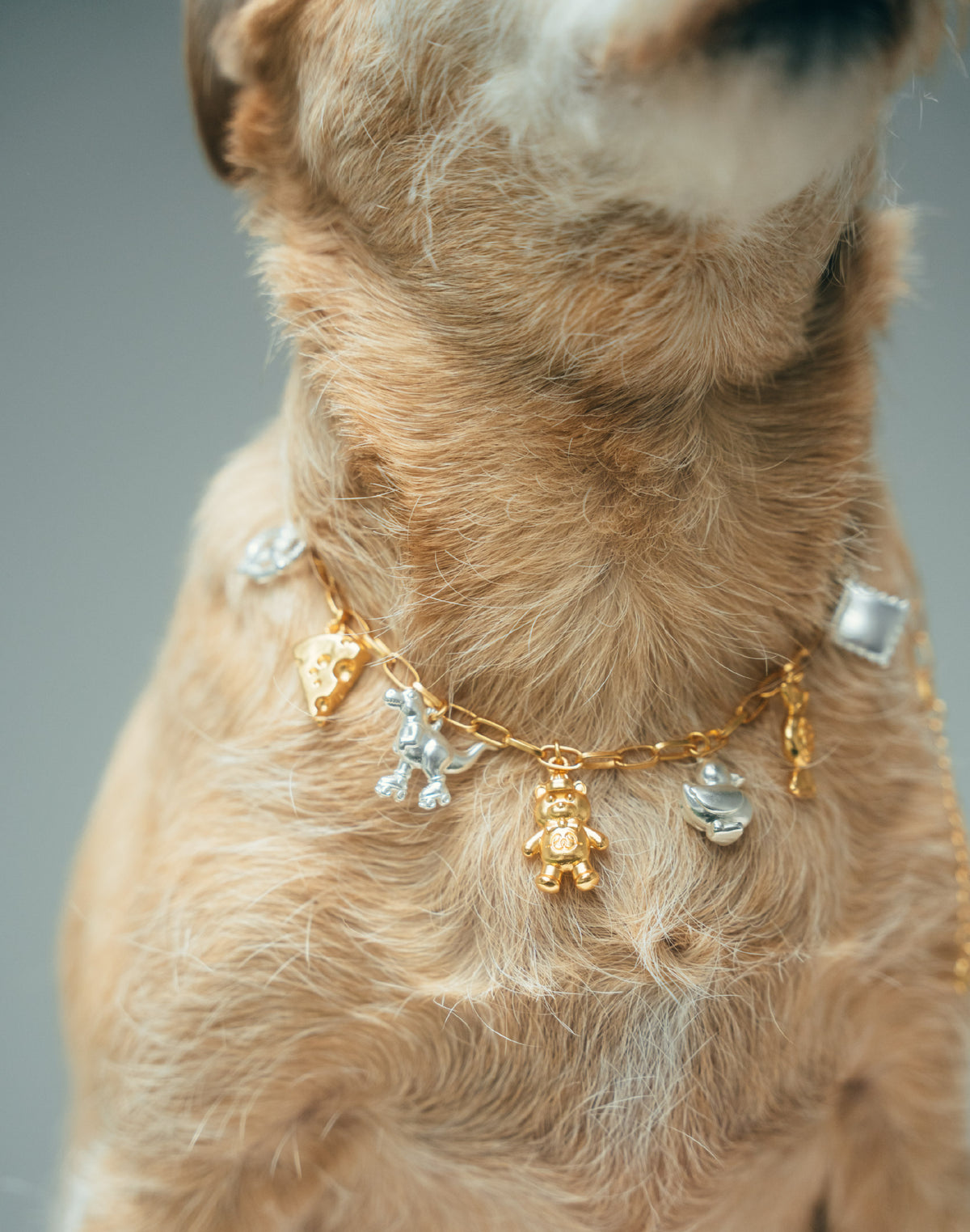 Collar Real Match