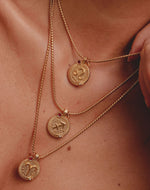 Collares Zodiac