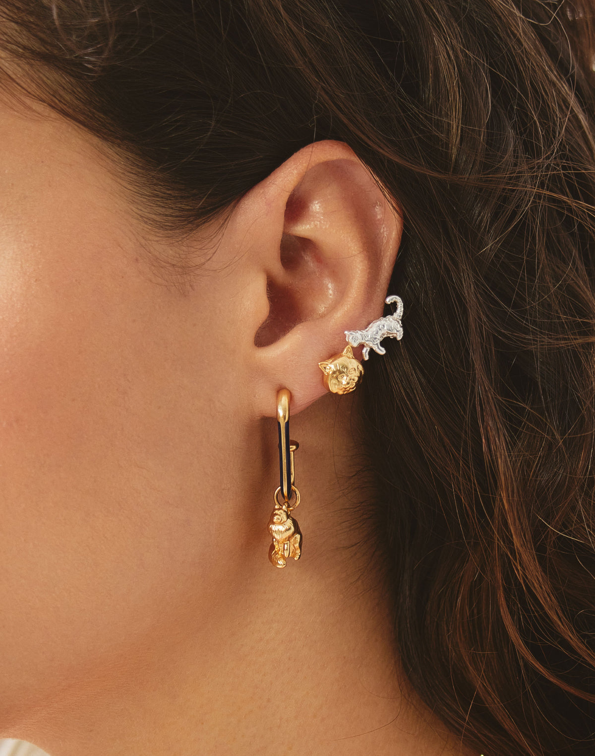 Earparty Gato Persa