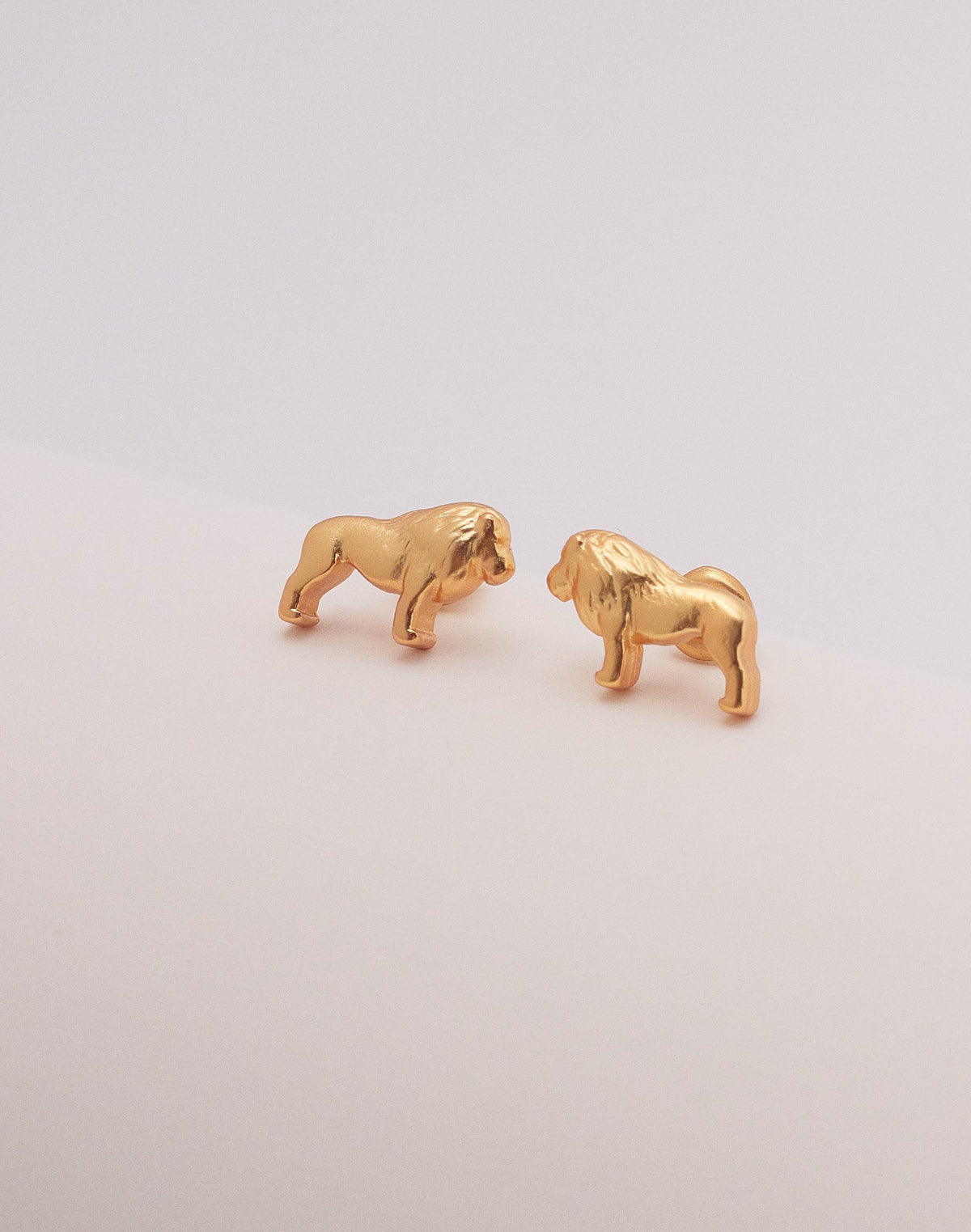 Set de 5 Aretes Kenya