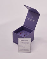 Aretes en Plata Zircón Corazón Siam