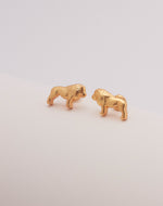 Set de 5 Aretes Kenya