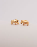 Set de 5 Aretes Kenya