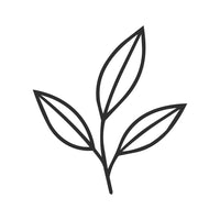 Inspirados en la magia de la naturaleza