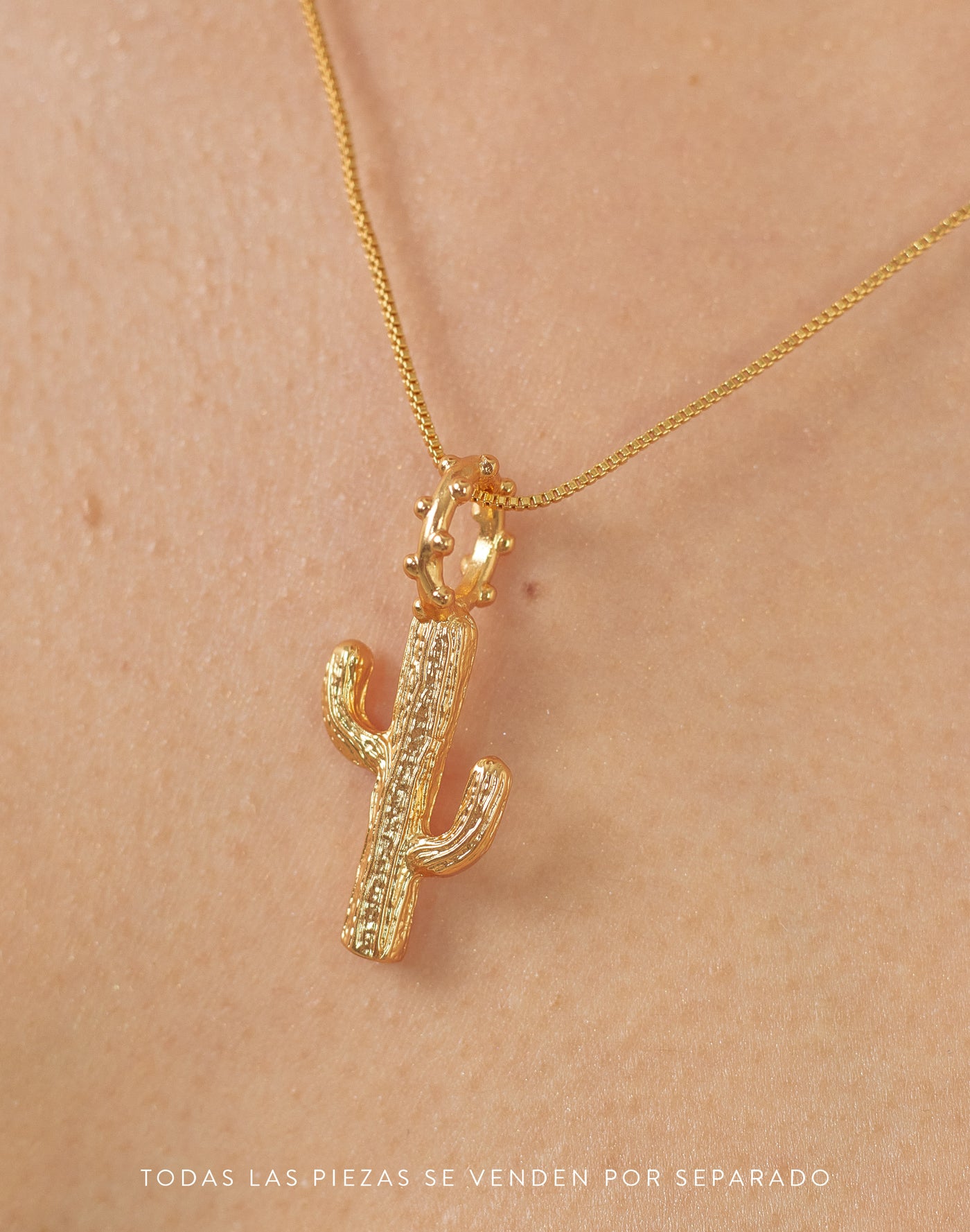 Maxi Charm Cactus