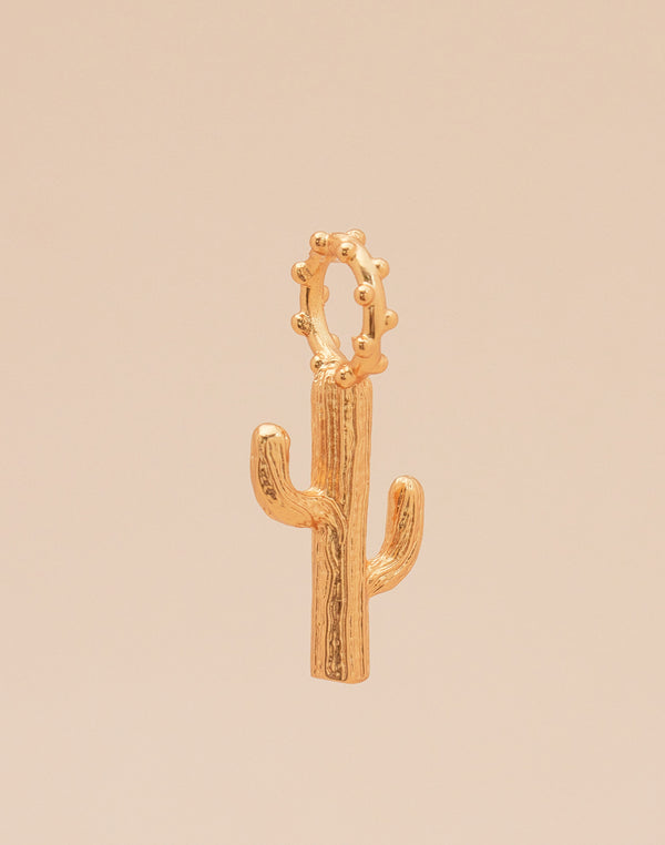 Maxi Charm Cactus