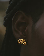 Maxi Collar + Aretes Salto del Mono