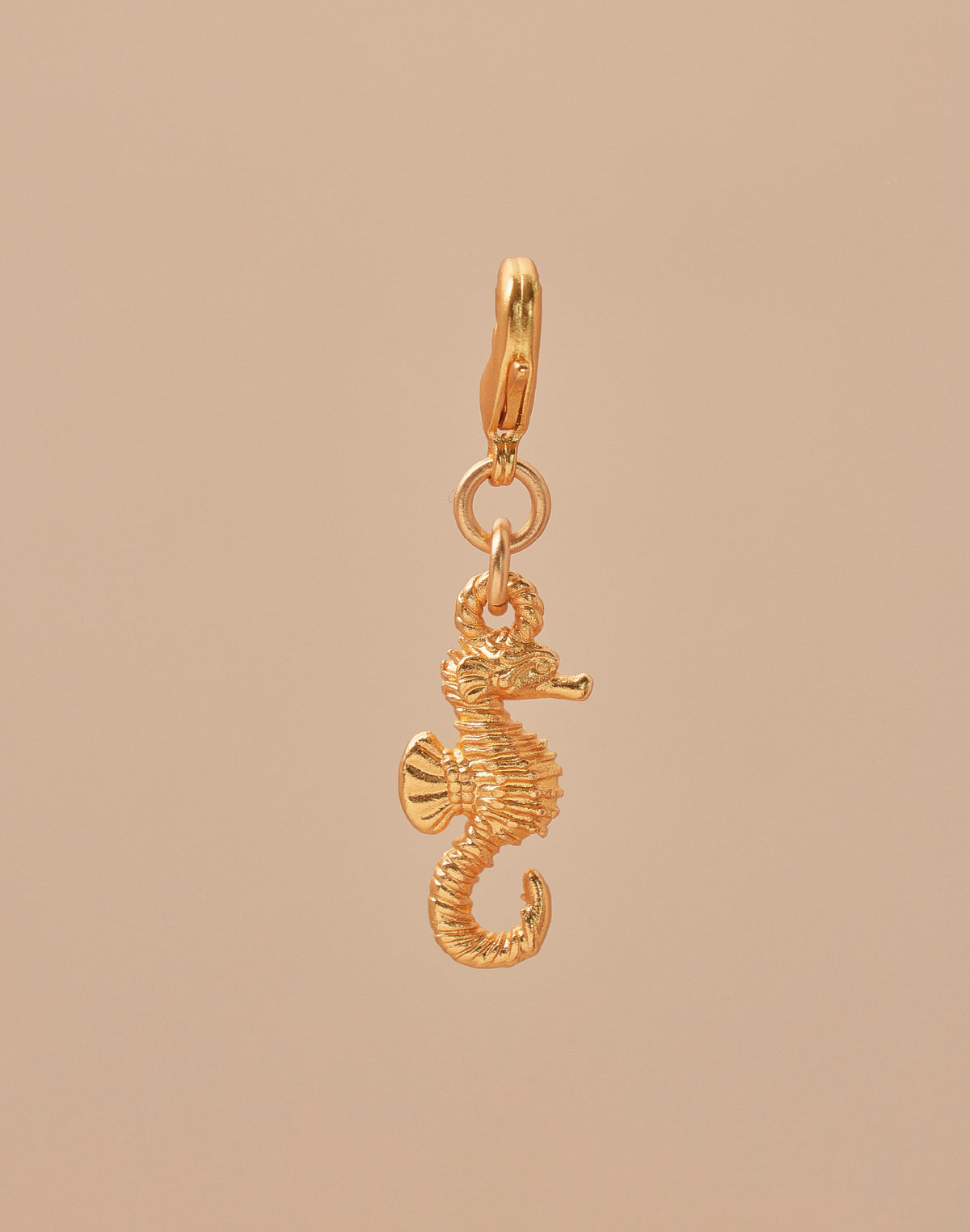 Mini Charm Caballito de Mar