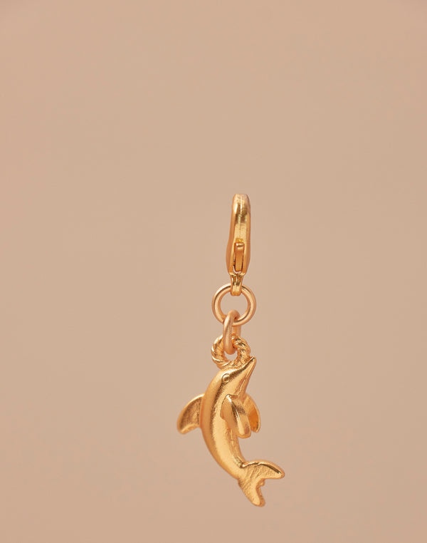 Mini Charm Delfín
