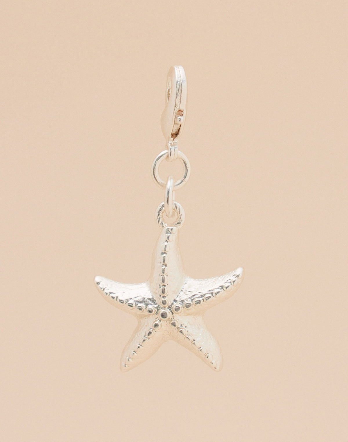 Mini Charm Estrella de Mar