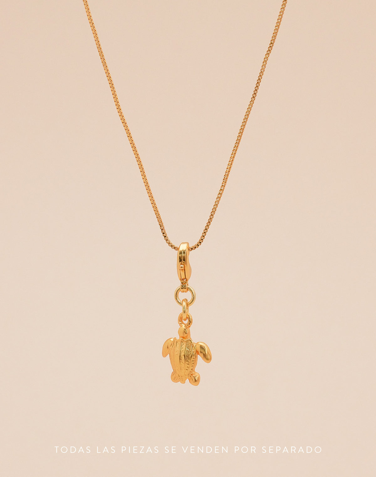 Mini Charm Tortuga