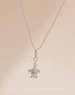 Mini Charm Tortuga