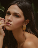 Pendientes Frailejón