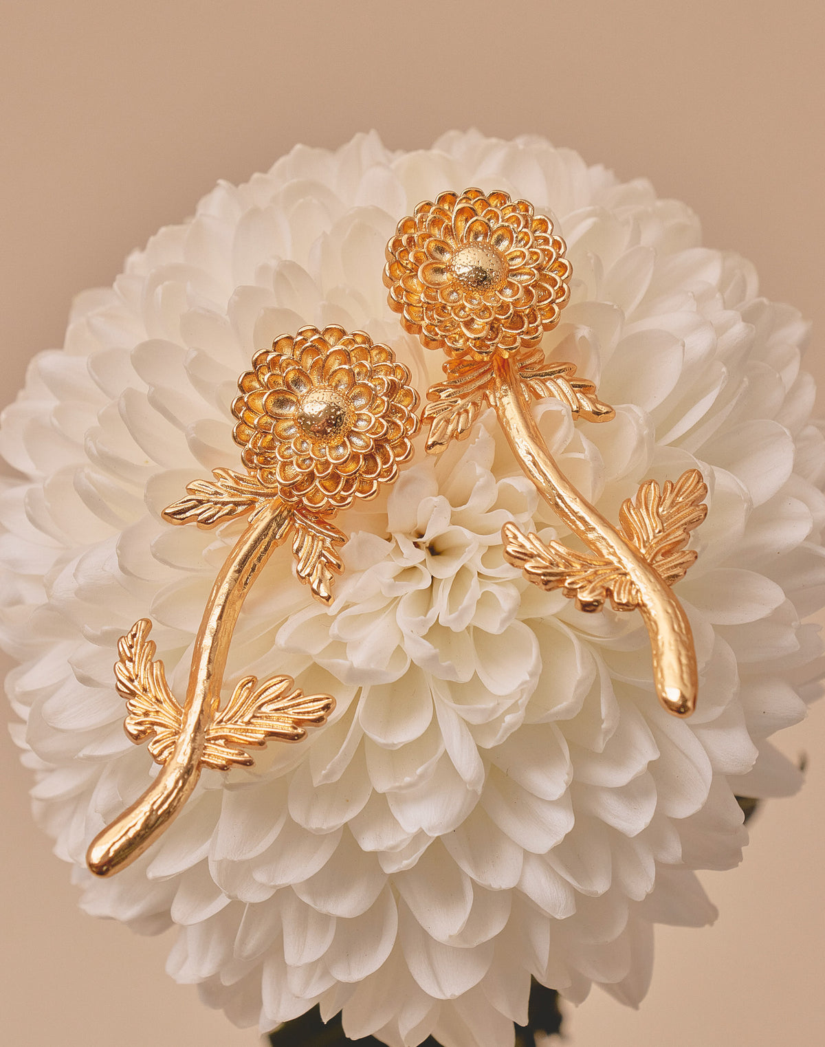 Pendientes Tallo