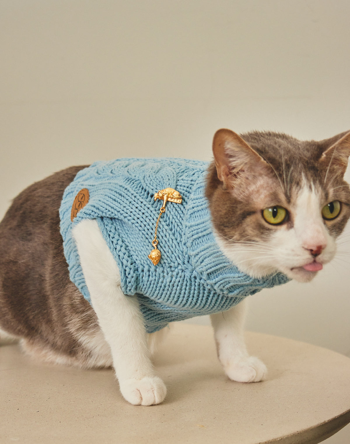 Pin Gato con Ratón