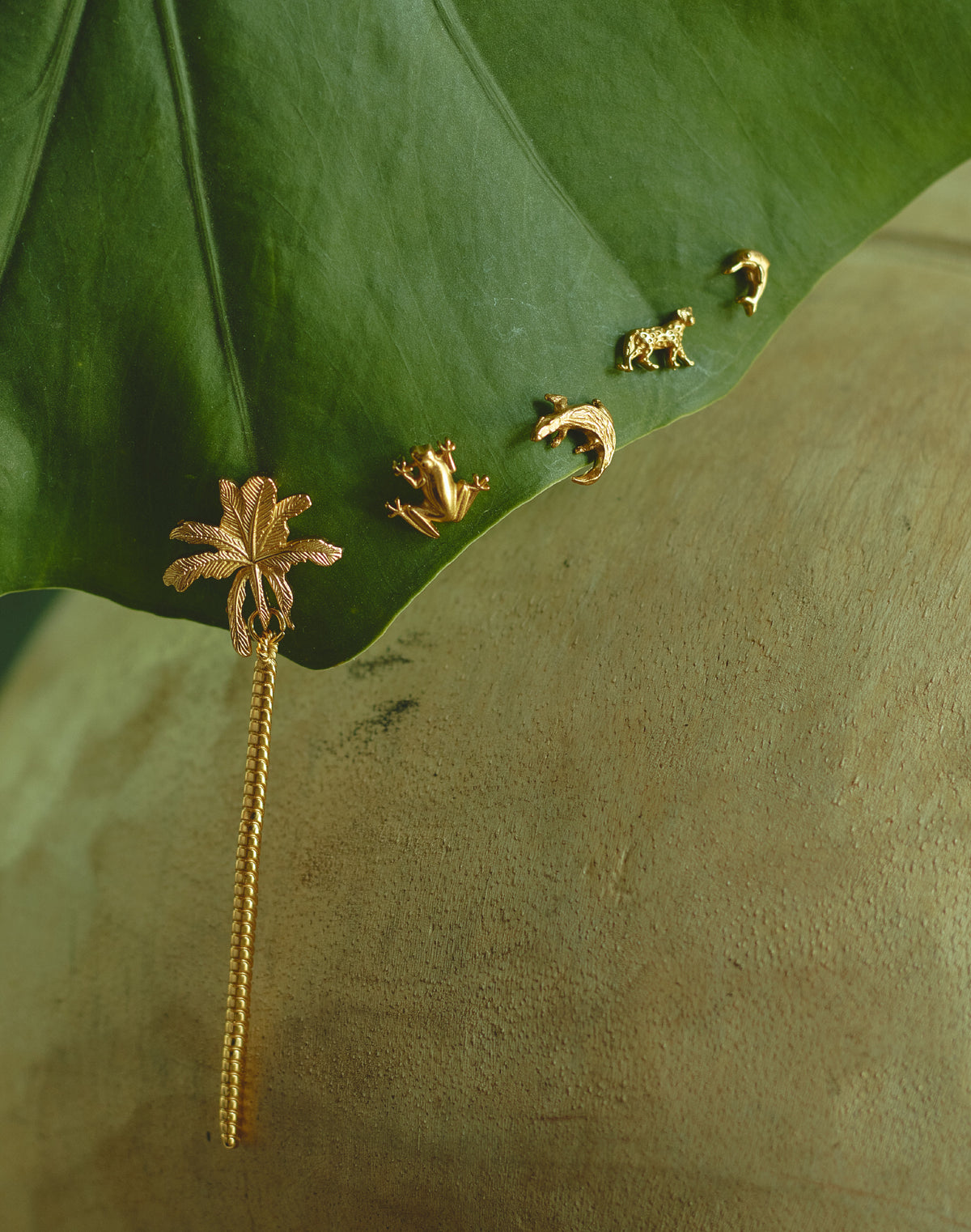 Set de 5 Aretes Amazonas