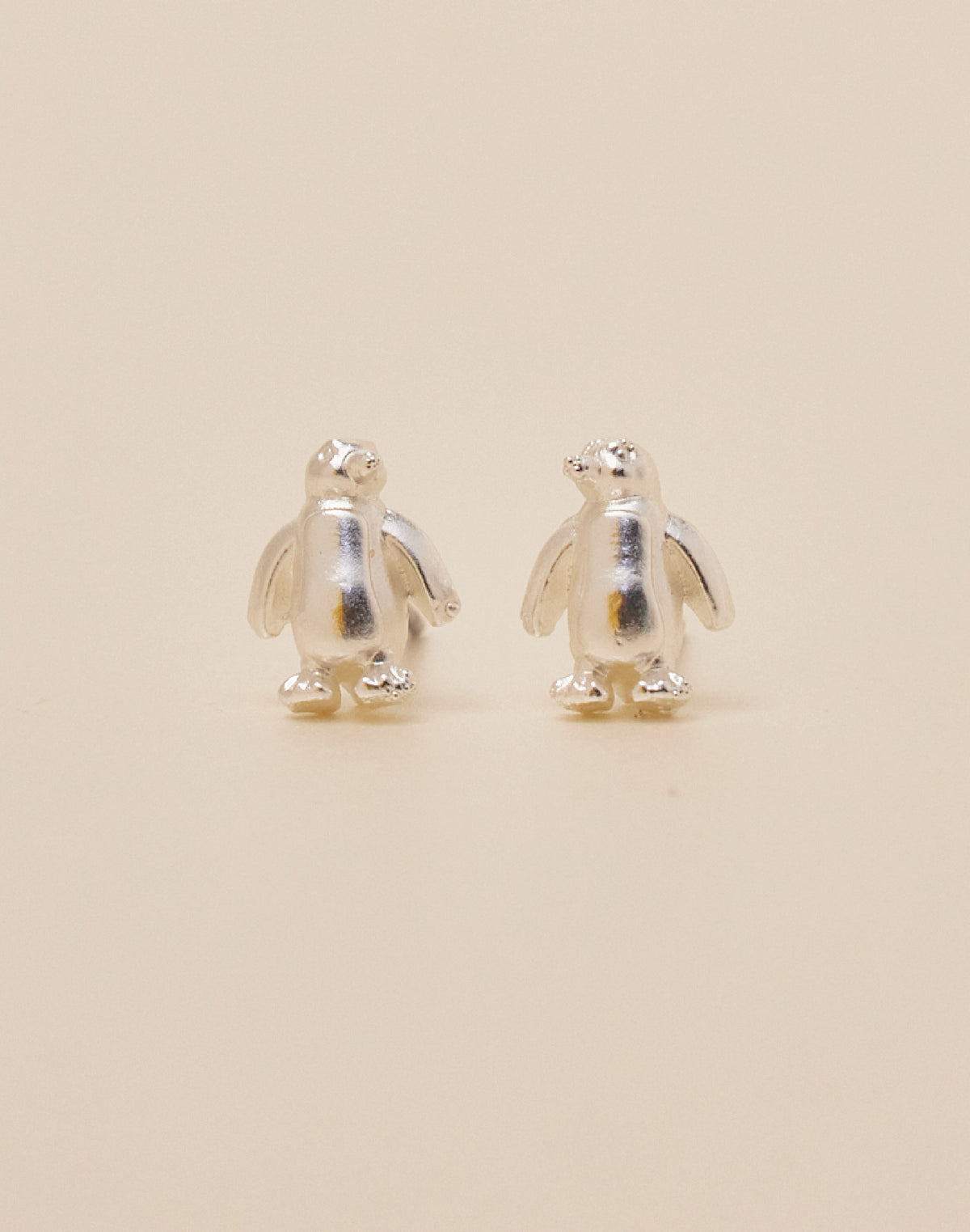 Set de 5 Aretes Boreales