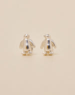 Set de 5 Aretes Boreales