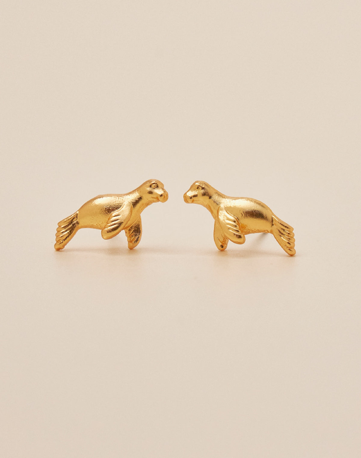 Set de 5 Aretes Boreales