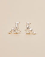 Set de 5 Aretes Boreales