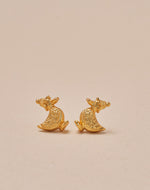 Set de 5 Aretes Farm