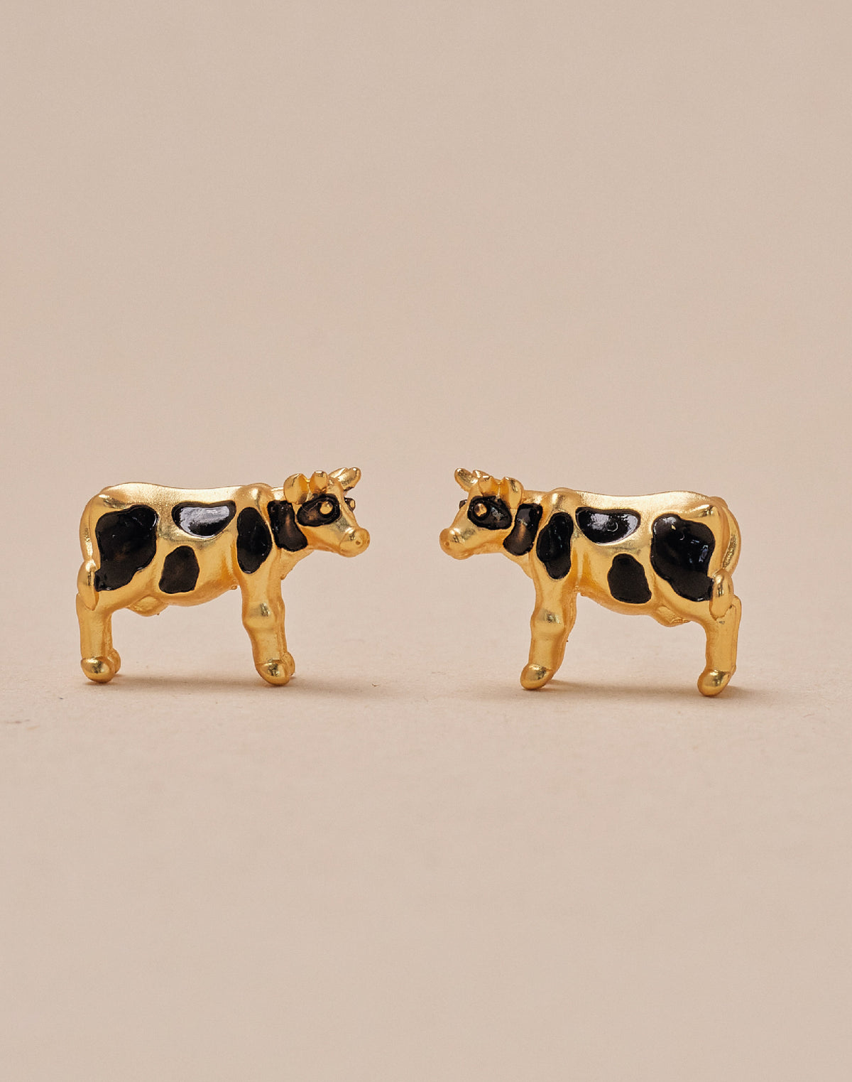 Set de 5 Aretes Farm