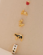 Set de 5 Aretes Farm