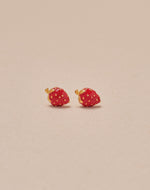 Set de 5 Aretes Farm