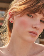 Set de 5 Aretes Farm