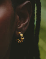 Set de 5 Aretes Mar y Selva