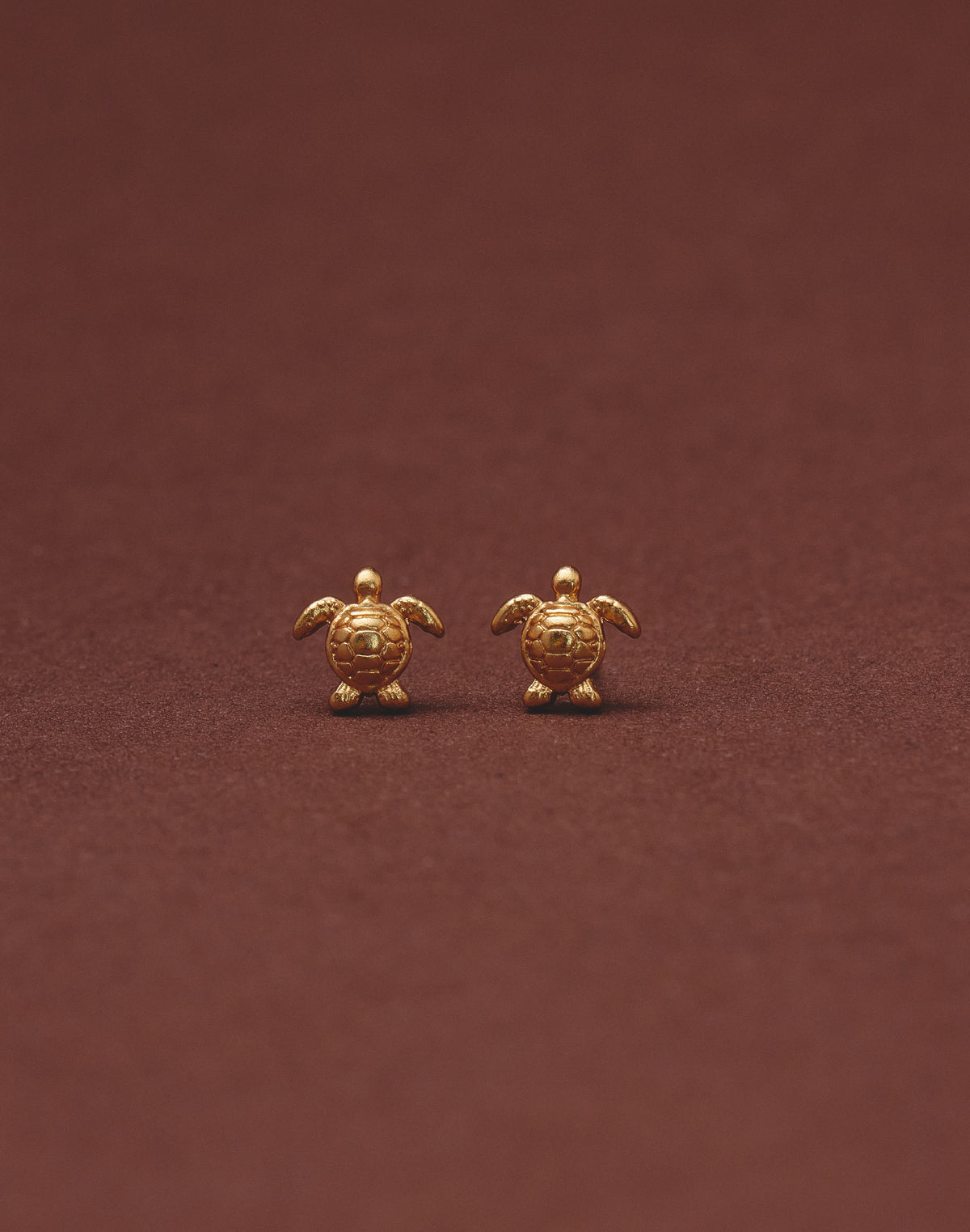 Set de 5 Aretes Mar y Selva