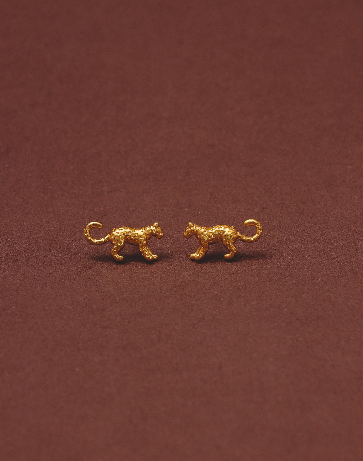 Set de 5 Aretes Mar y Selva