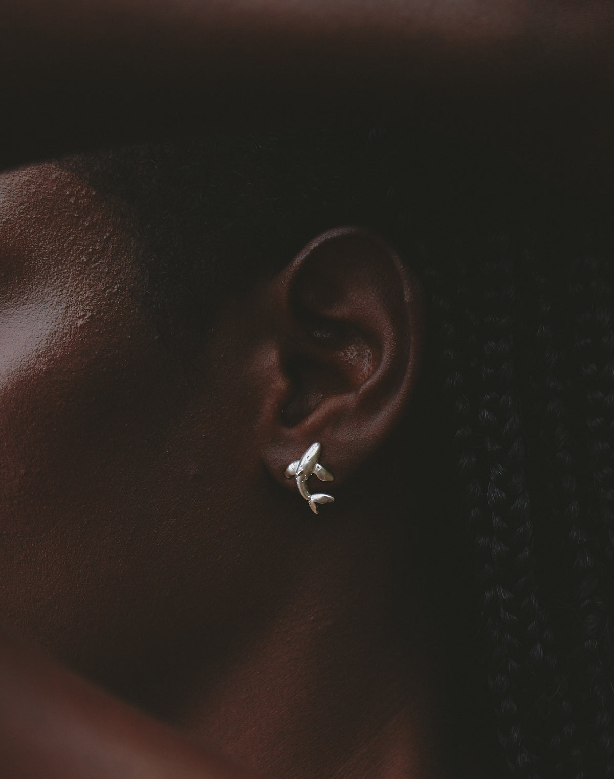 Set de 5 Aretes Mar y Selva