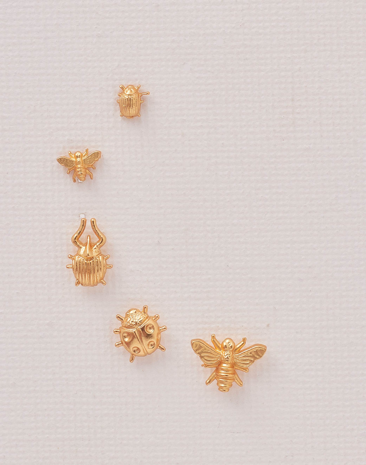 Set de 5 Aretes Mini Insectos