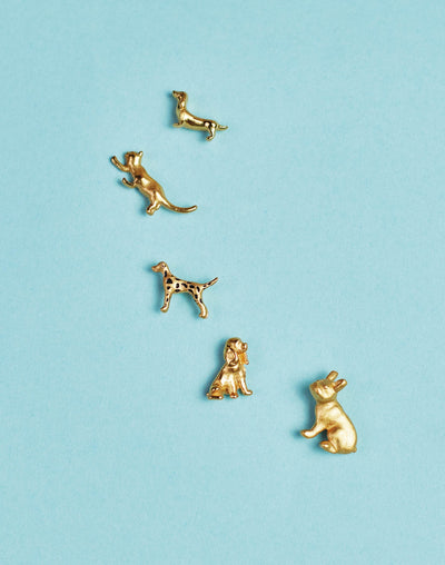 Set de 5 Aretes Oh My Dog