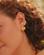 Set de 5 Aretes Secret Garden