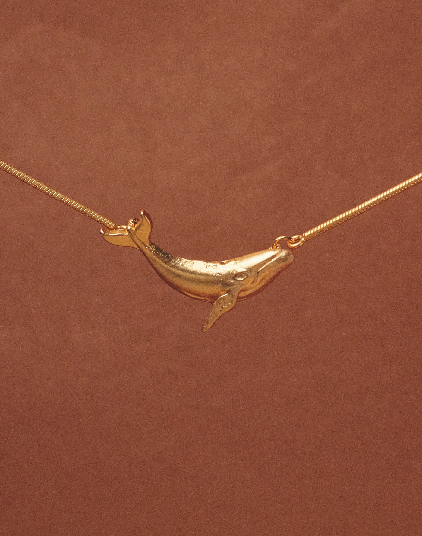 Set de Collar + Aretes Ballena