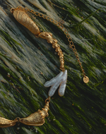 Set de Collar + Aretes Caracola