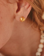 Set de Collar y Aretes Vaca