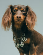 Strap Americanino x Entrelazos