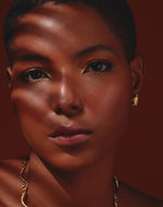 Aretes Tortuga del Mar