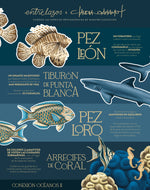 Collar + Topos Pez León