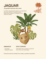 Set de 2 Collares Felino del Pacífico