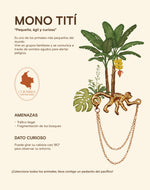 Set de 3 Pines Chocó