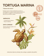 Aretes Tortuga Carey