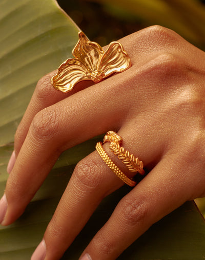 Set de 3 Anillos Silvestre